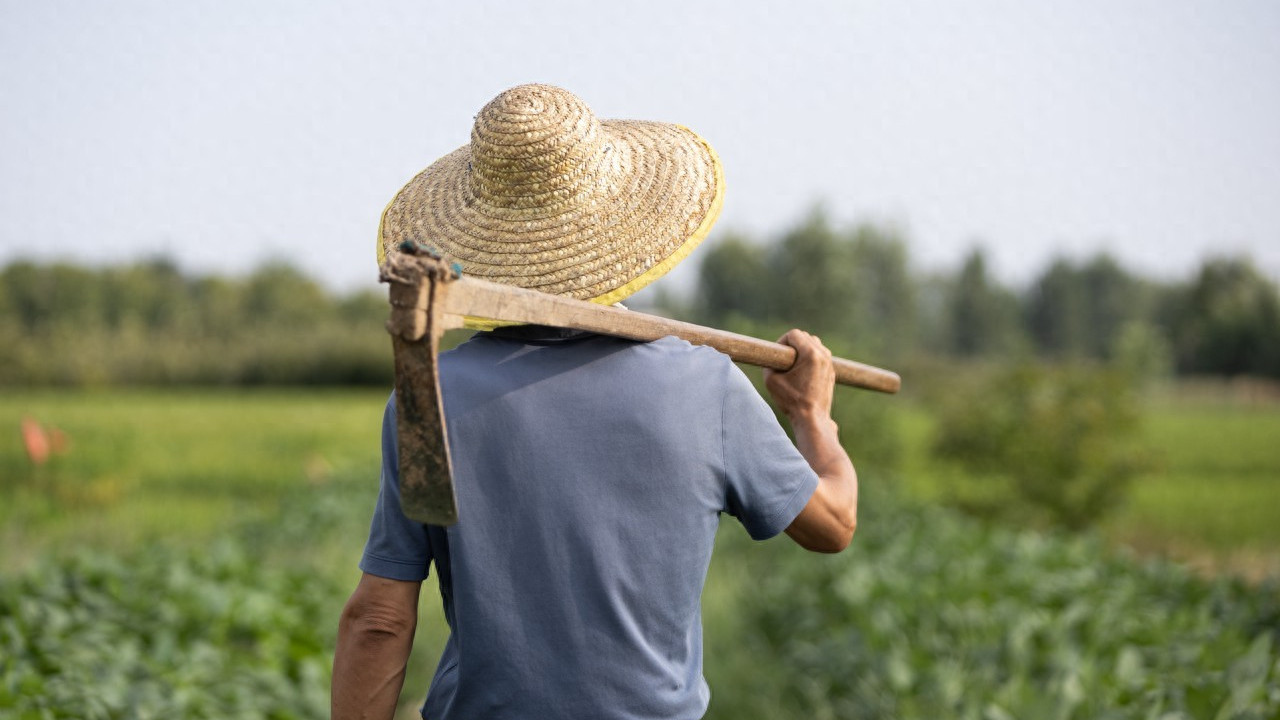 给农民评职称，大家理解错了？