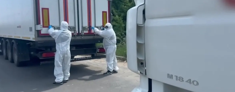 【战事吃紧，乌克兰拖延接收烈士遗体有苦衷】大鹅准备好了移交乌军牺牲将士的遗体，第