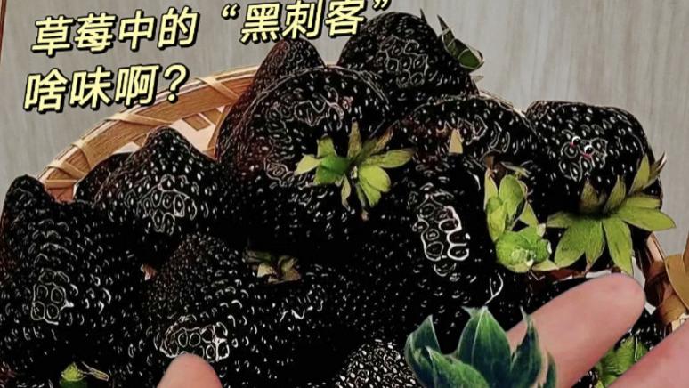 全网热议！10元一斤草莓vs300元黑草莓，差别到底在哪？