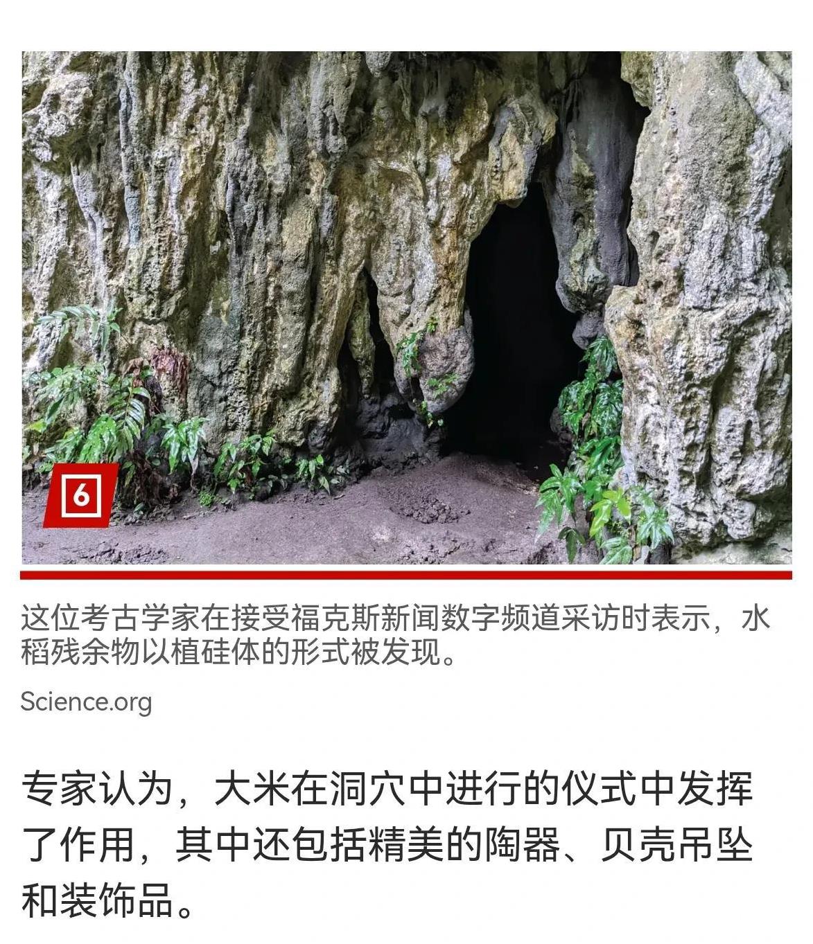西方考古学：找到3500年前关岛上的大米痕迹，而且还是从2300公里外的岛屿上运