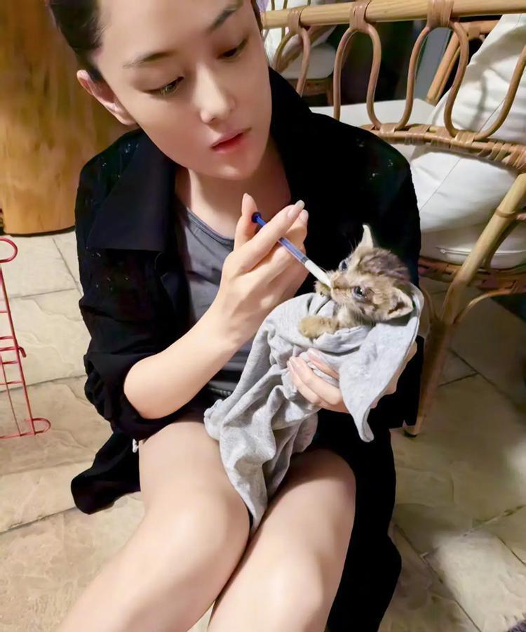 这就是爱屋及乌吧！何捷宅家撸猫、还不介意小猫上床，难怪张馨予那么爱他！
好温暖的