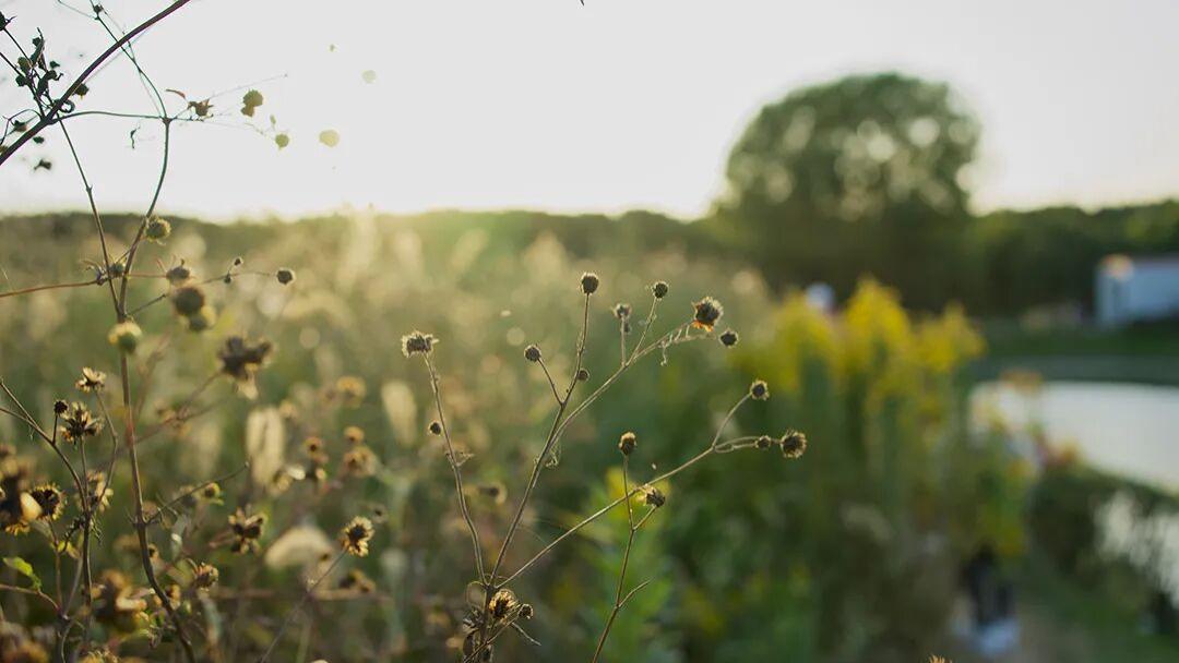 高校教材出版如何用于评职称？