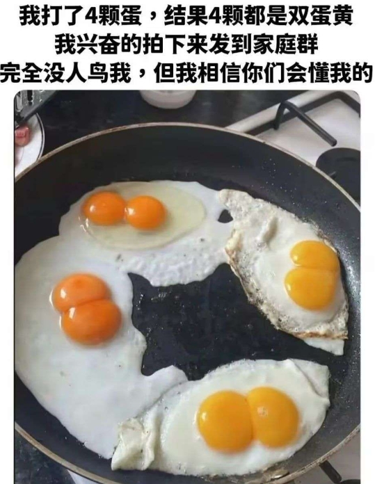 连鸡蛋都是成双成对的，而你我的朋友
