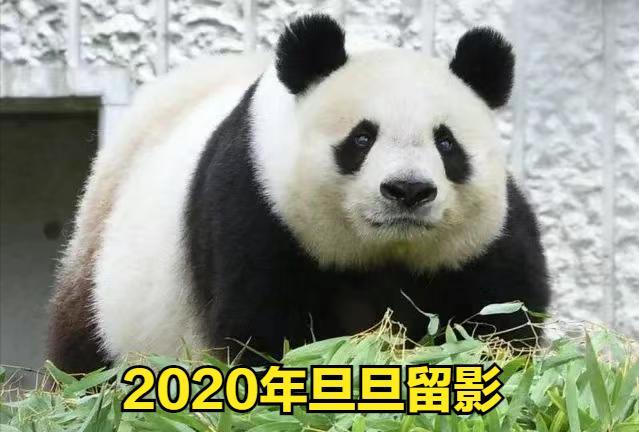 日本正式归还中国！
泪目！日本归还 “顶流外交官” 遗骸，“中日友好特使” 回家
