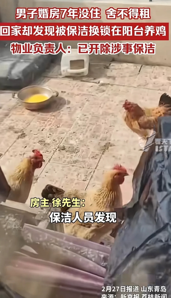 山东青岛，小区里2名保洁发现，一顶楼的复式房业主常年不在家，2人觉得房子空着也是