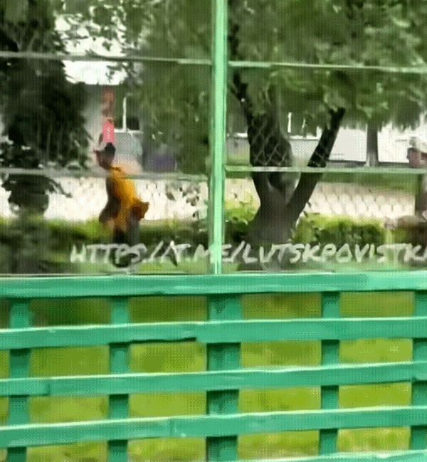 乌克兰男子街头狂奔躲避征兵











我了个去！你绝对想不到，乌克兰
