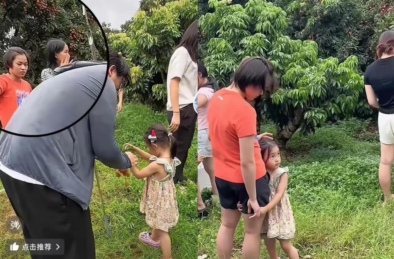 有人竟然说婵宝贝回家了，藏在自家果园里不敢出来。



这说法未免有些夸张了。倘
