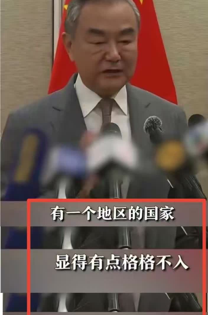 王毅外长所指的那个国家，你一定知道。
“它与其他国家格格不入，经常狗急跳墙，甘