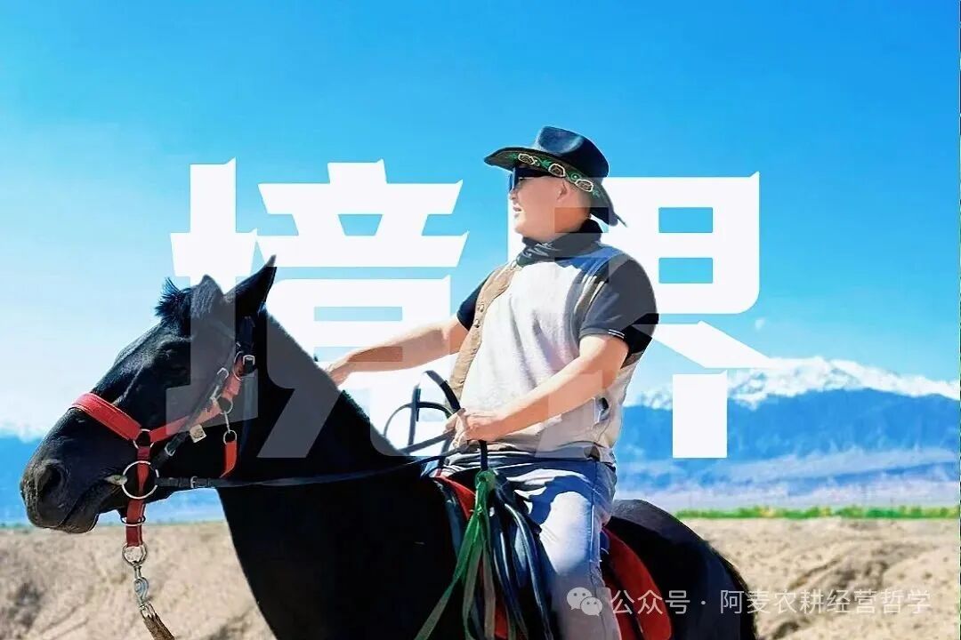 在麦子战队工作的四层境界，你在哪一层？