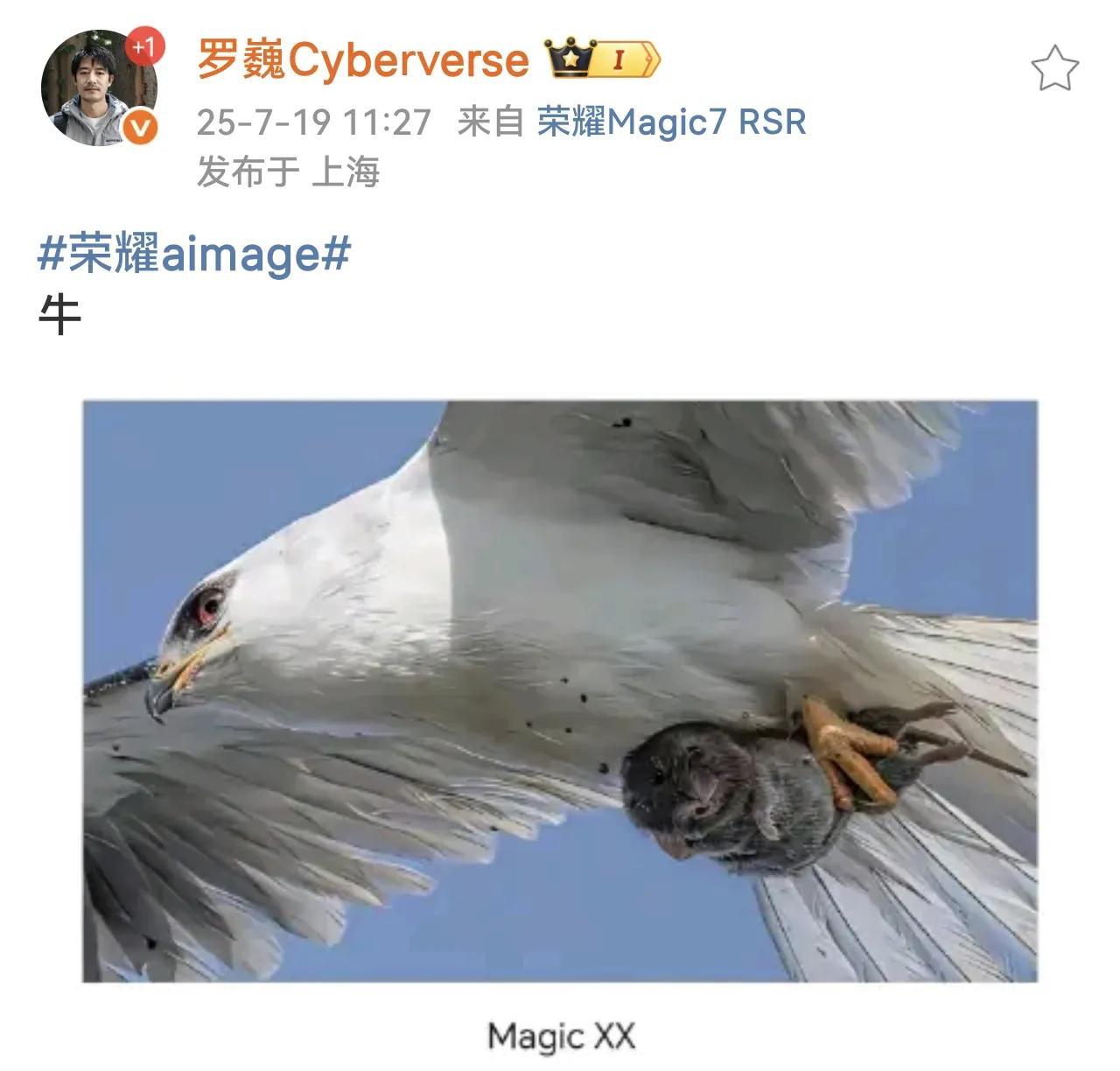实力无需多言！
一张图印证了荣耀鹰眼抓拍的实力