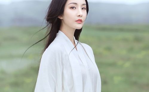 首辅夫君要将我贬妻为妾后，我入朝堂另立天地。