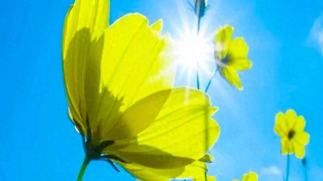 志存高远，方能行稳致远；心有丘壑，方可从容淡定