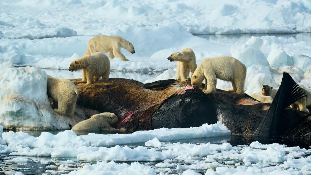 索尼世界摄影奖2025获奖作品（6）