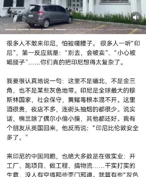 印尼华人博主称很多中国人把印尼想得太复杂了，把印尼想象得跟缅北差不多，其实际印尼