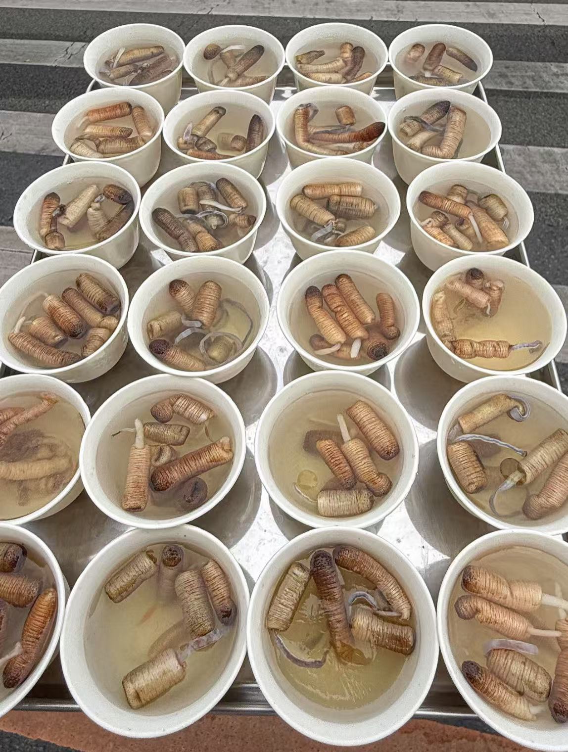  这是什么？真的有人吃吗？