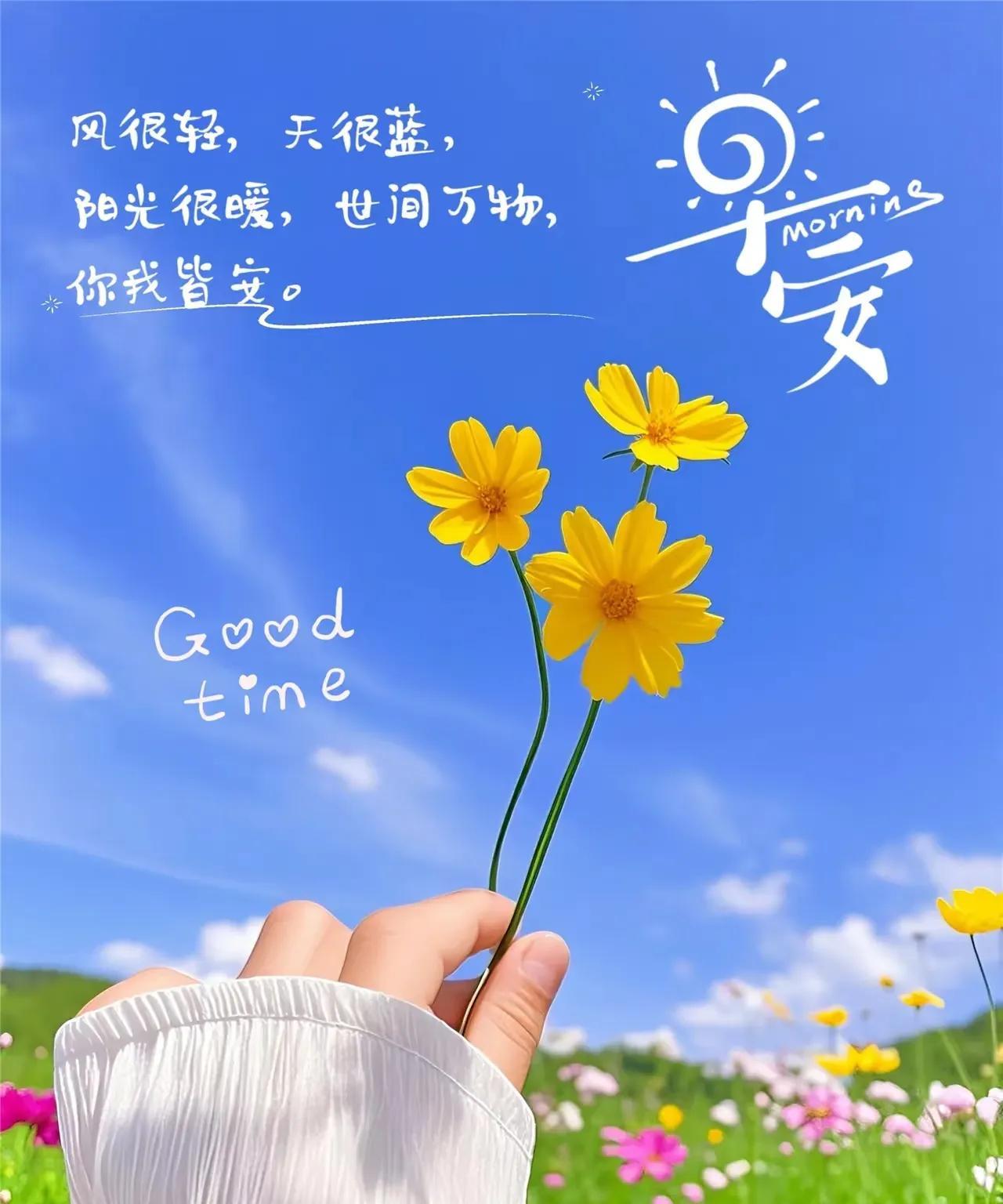 早上好，今天是6月6日星期五。
今天中国女排轮空。
昨天1-3输给波兰在情理之中