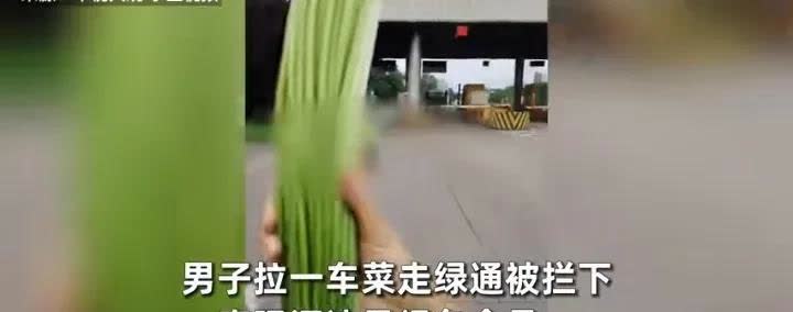 网上这么新鲜的，一边倒的瓜，是不是也反转了？
   一男子自称拉蒜苔想走绿通被