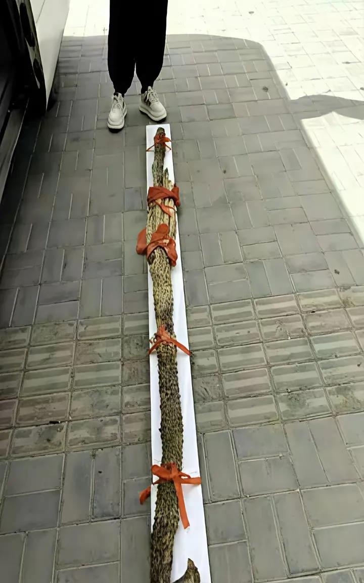 这是什么东西，有认识的么？听说很值钱。