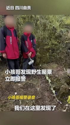 “这俩小孩哥火到人民日报了！”四川，小学生发现一棵野生毒品罂粟，为了“铲毒”上学