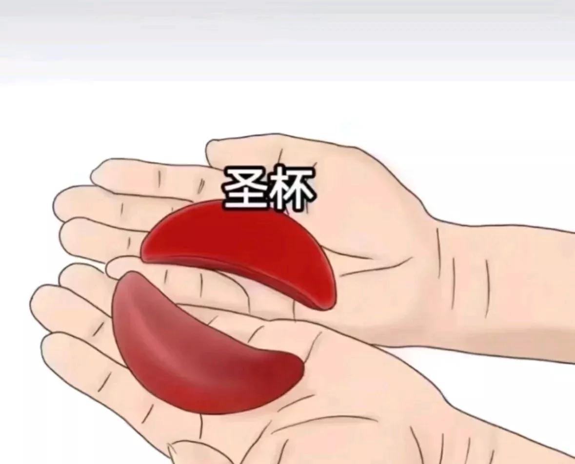 注意看！
圣杯被我捧在手心里！
你将稳定上岸！成绩扶摇直上
点赞评论“圣杯在手，