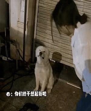 深夜人静，女子一天忙到晚，匆匆忙忙把店门关上，回去洗完澡就上床睡觉了，睡梦中她突