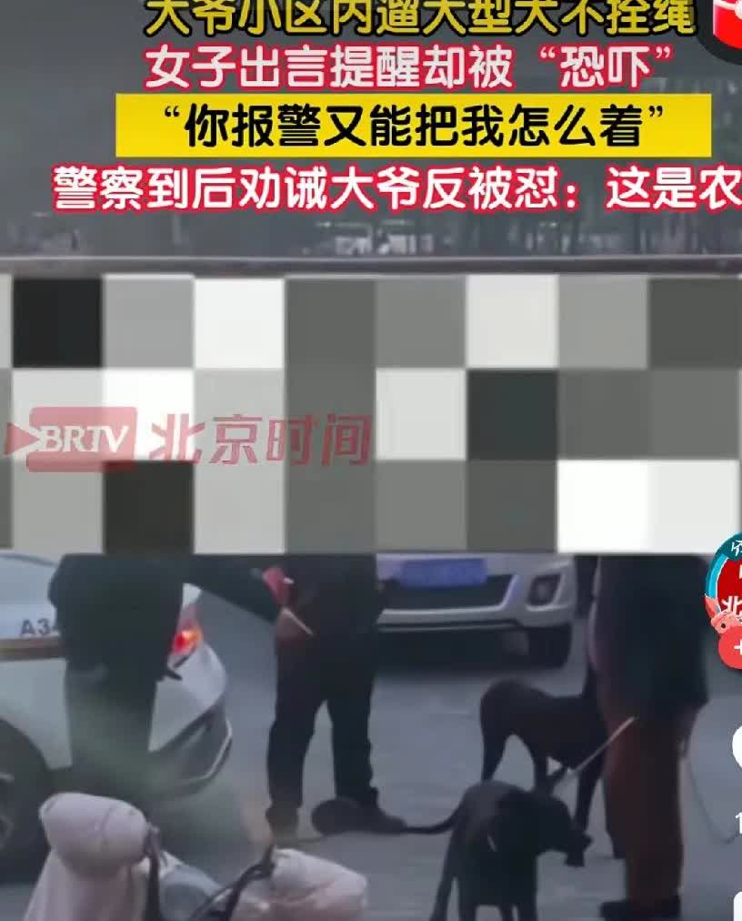 要我说，这样的大狗疯癫起来，以北京大爷这身板，分分秒秒被狂涅。

不明白这样