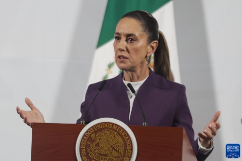 墨西哥打脸美国！

近日，针对美国财长宣称墨西哥将跟随美国对中国加征关税，墨西哥
