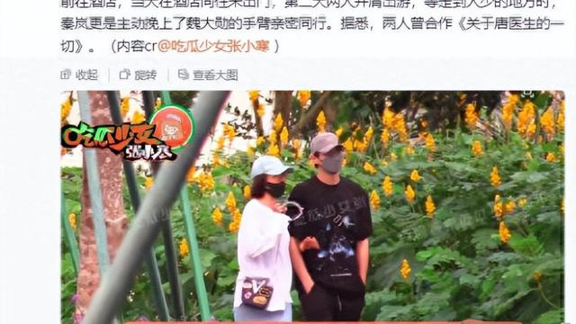 关系藏不住了？秦岚魏大勋和宋佳聚会被拍，魏爸爸当司机一目了然