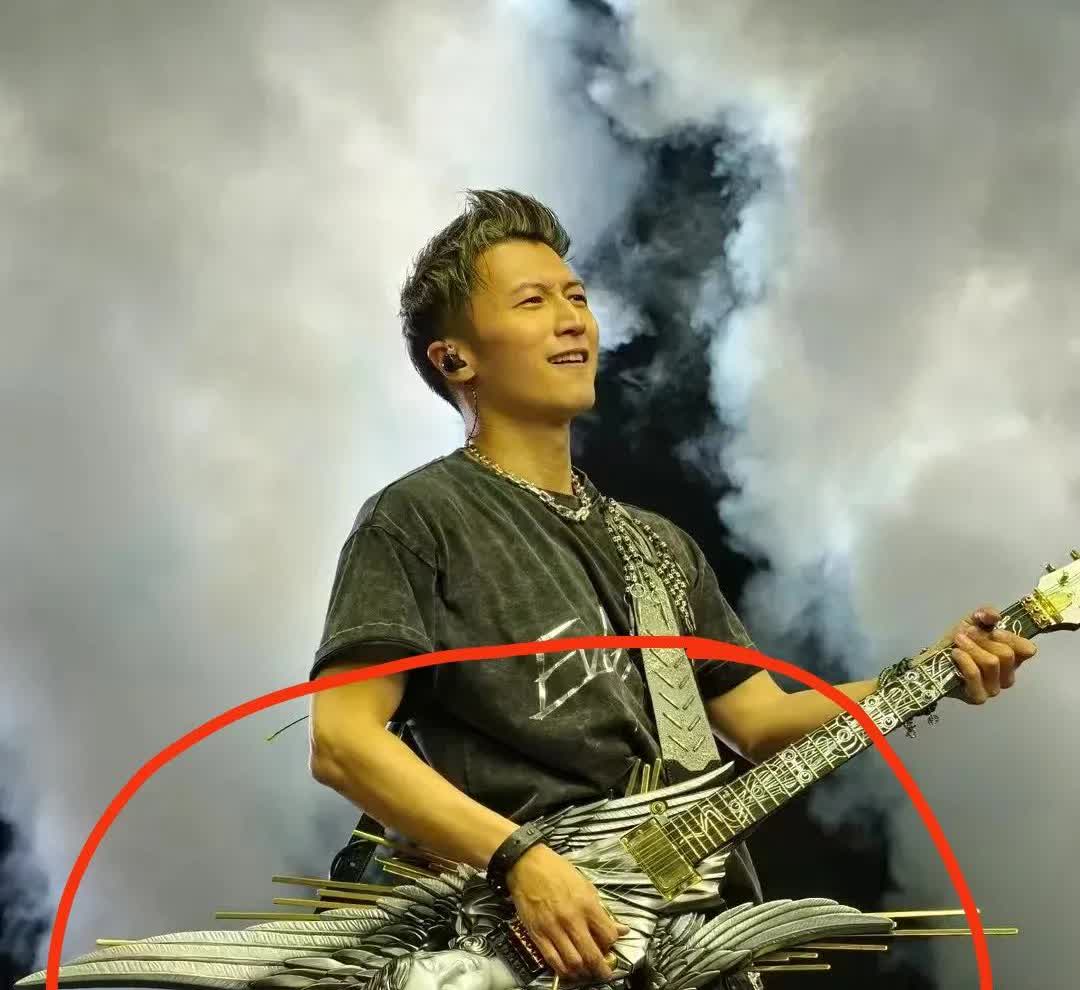 时隔20年，为什么谢霆锋重开演唱会？
这背后到底有什么秘密呢？
听说他演唱会