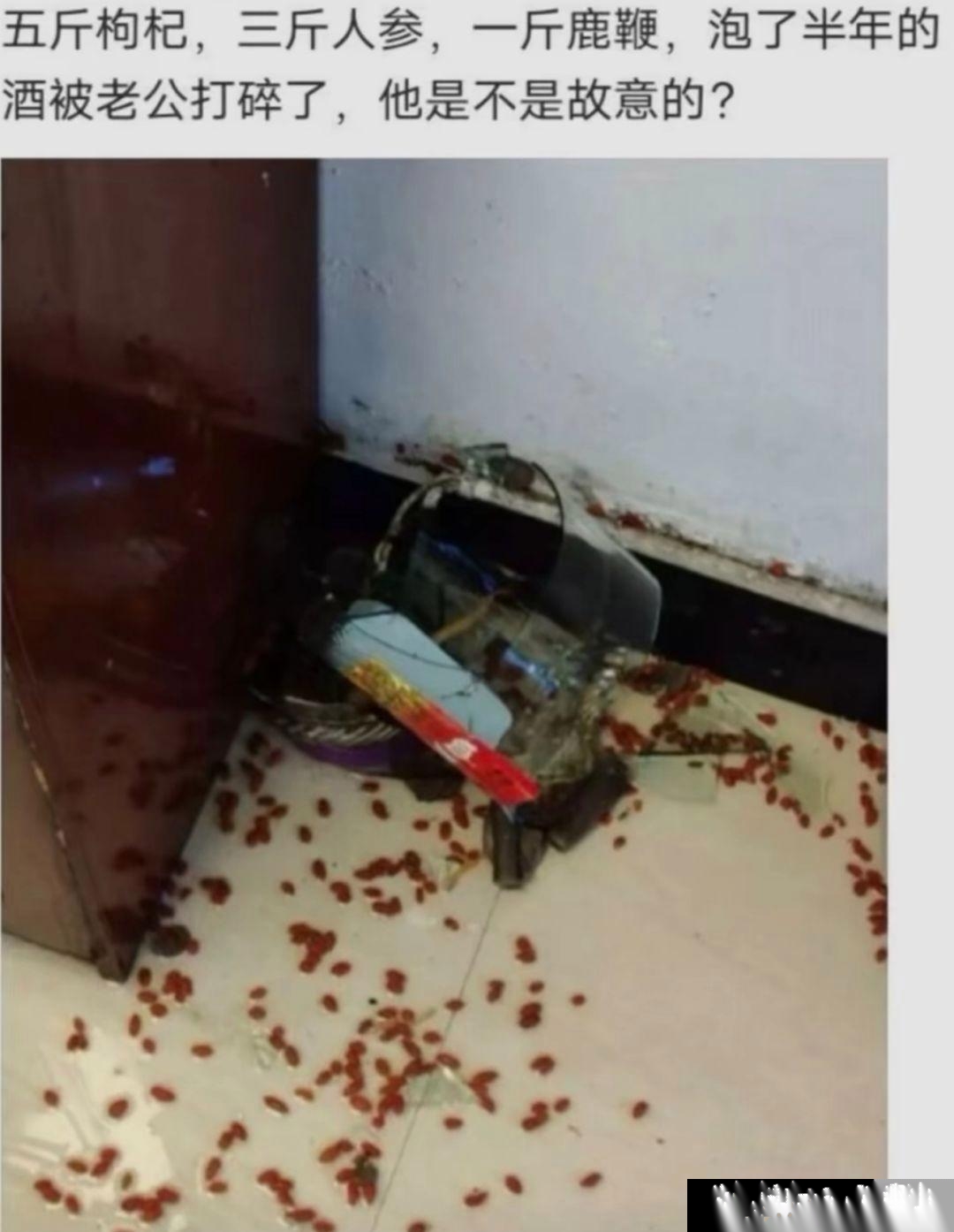 他这是不是故意的啊？？？