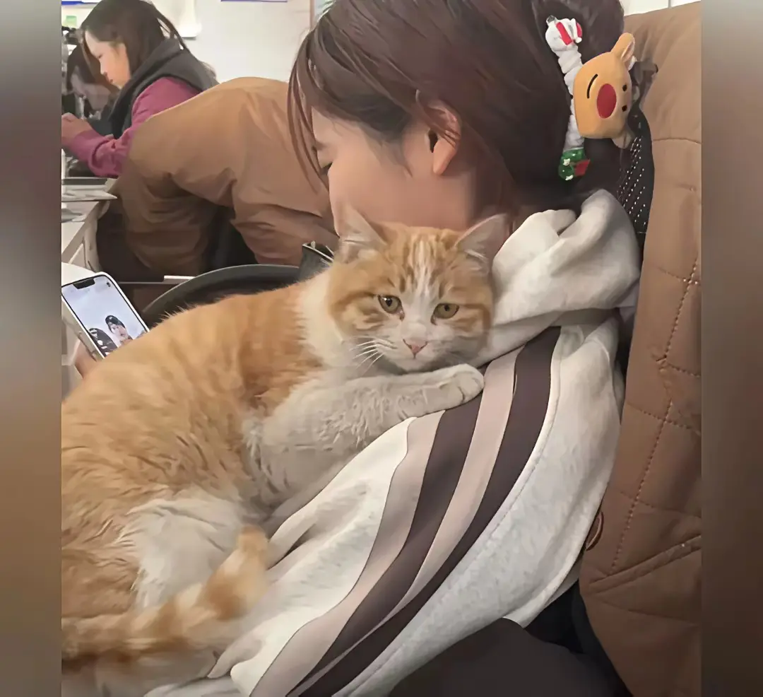 这女孩好善良，也没嫌弃小猫脏~