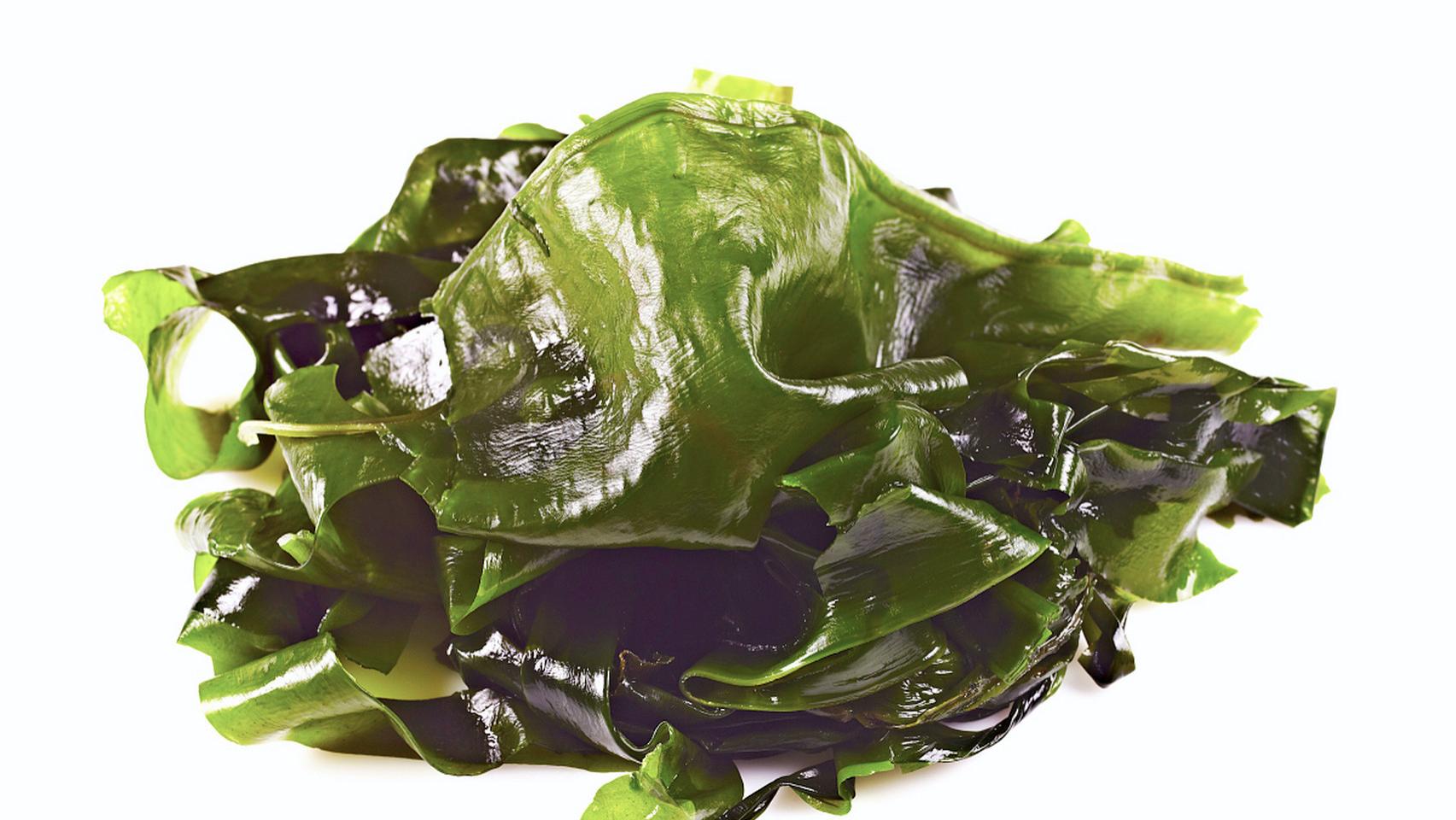 海带：从秦皇御膳到现代网红的千年逆袭史，海洋界的顶级 "戏精" 修炼手册