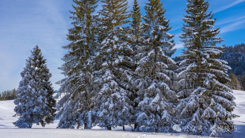 舌头有裂纹就吃山药薏米？可能分3种情况，看看你是哪一种！