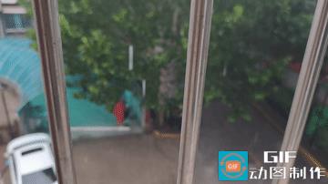 下雨啦！
坐标：河北省邯郸市
时间：6月28日5点55分
终于下雨了