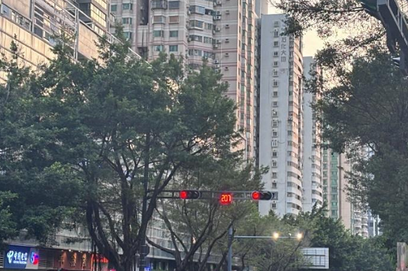 你见过200多秒的红绿灯吗？等个红绿灯差不多能写一张试卷

