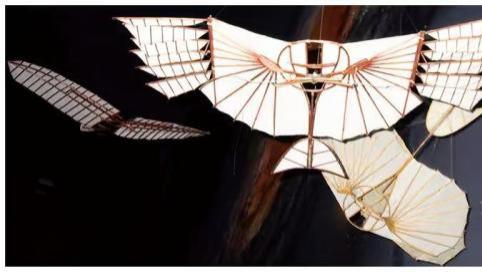 李林达尔梦断滑翔（1896年）（下）