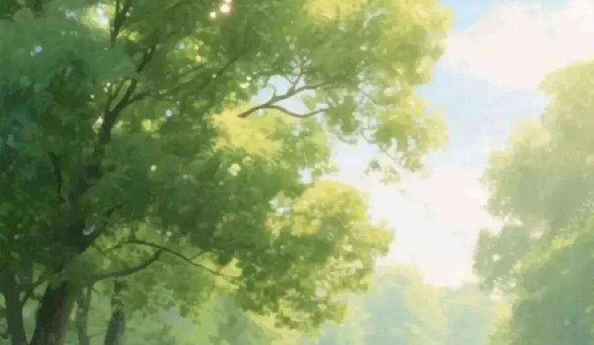伯母去世，办丧葬费两堂哥他们一分钱都不用出，大大减轻了负担，这是他们两兄弟怎么也