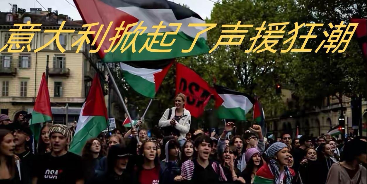 意大利10万人暴怒！码头封港：不运一滴血！
联合国大会上，法、英等10国接连宣布