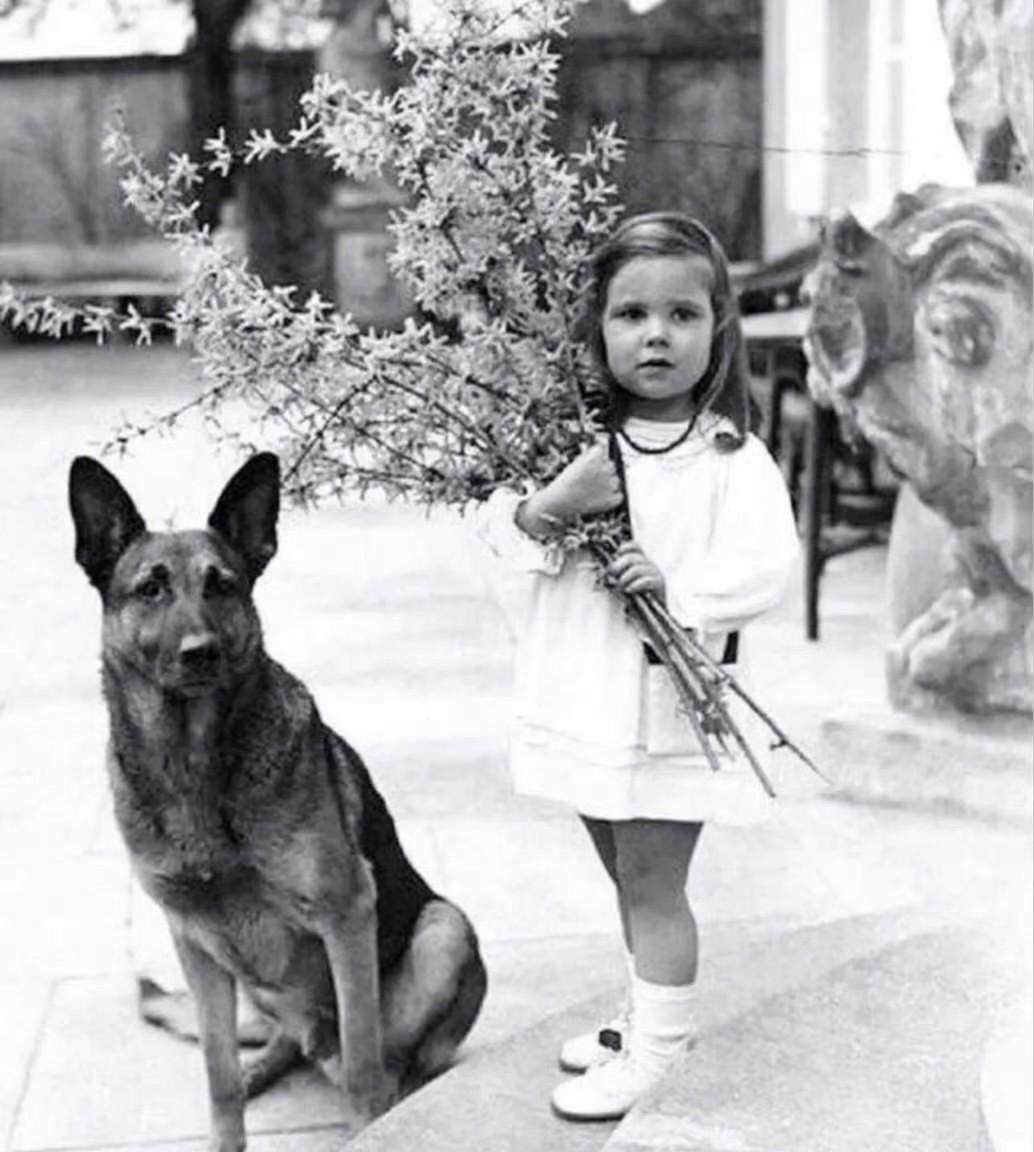 二战时期老照片，你可能你不知道的是，这位与希特勒爱犬玩耍的4岁女童赫尔佳·戈培尔