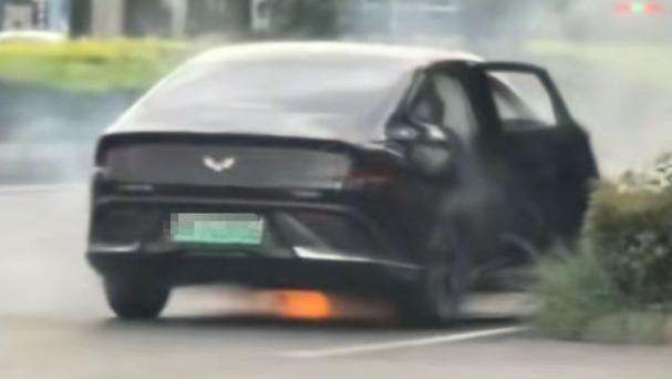 说好的“超国标电池”呢？五菱星光在路上自燃！网友：啪啪打脸