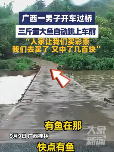 “这就是命啊！”9月9日，广西桂林，一男子开车过桥，突然，一条3斤重的大鱼从河里