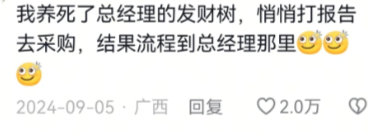 好想知道后续如何