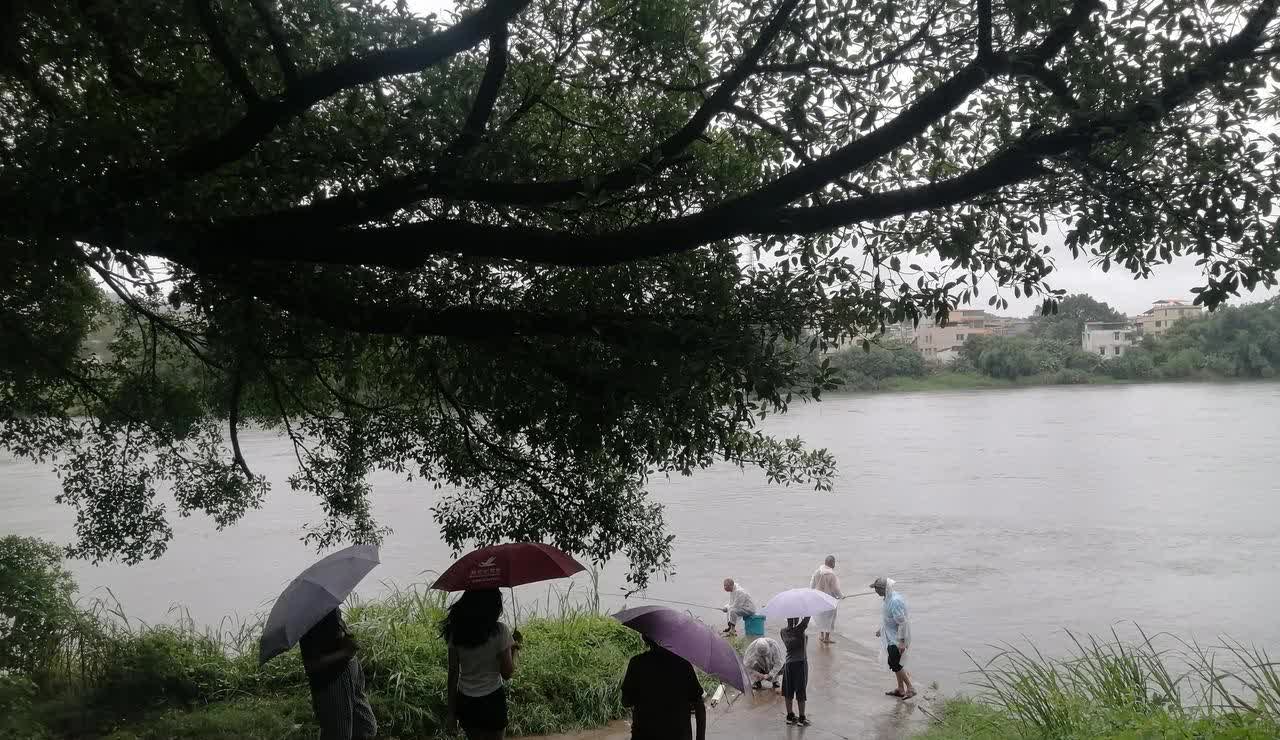 一整天都在下雨，却碰到四个城里退休的老头跑到乡下河边来钓鱼！
老妈走到他们的鱼