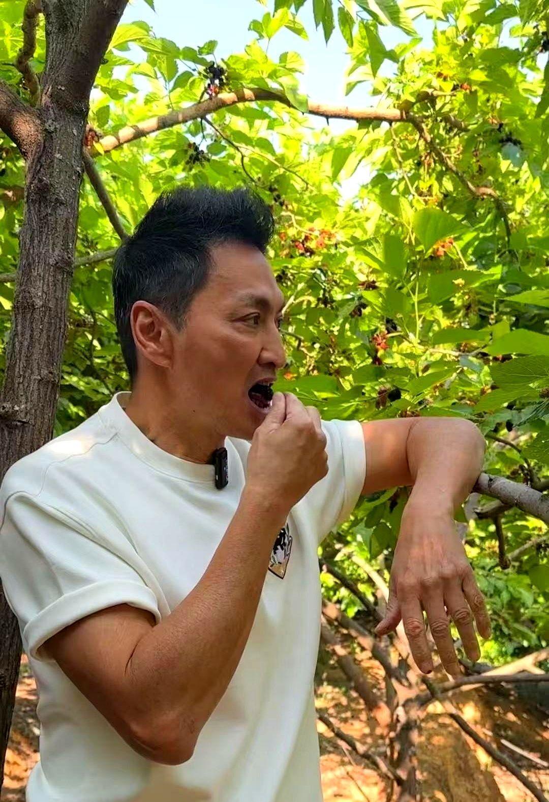 企业家不是慈善家。这一点在何家劲这里表现的淋漓尽致。
何家劲的工厂最近被工友们讨