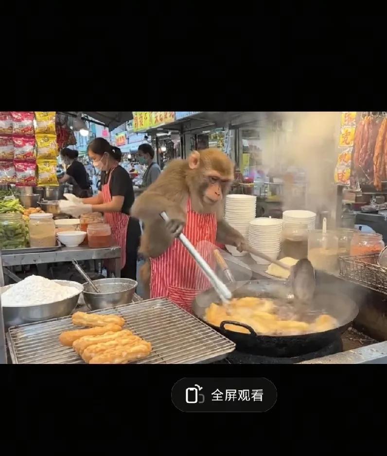 造假声音，视频那么多， 你真是敢信 啊
1，赵忠祥的声音
没有视频，配音
随便配