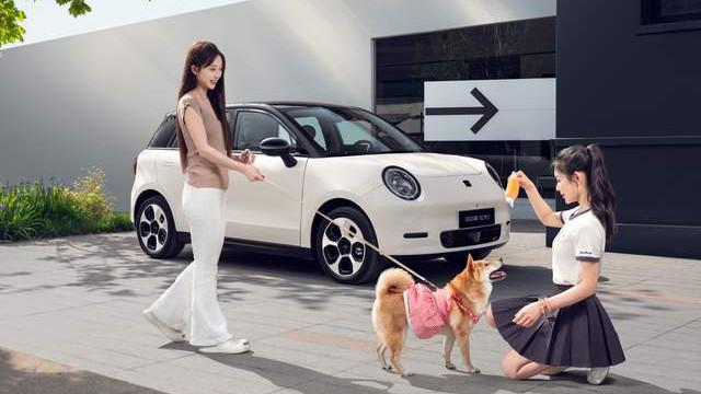 年轻人的第一台车，为什么绕不开2025款钇为3？