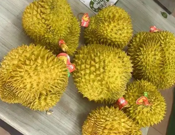 赚中国人钱却卖 "毒榴莲"！泰国水果被曝含致癌物，网友：跪求和也不买！
