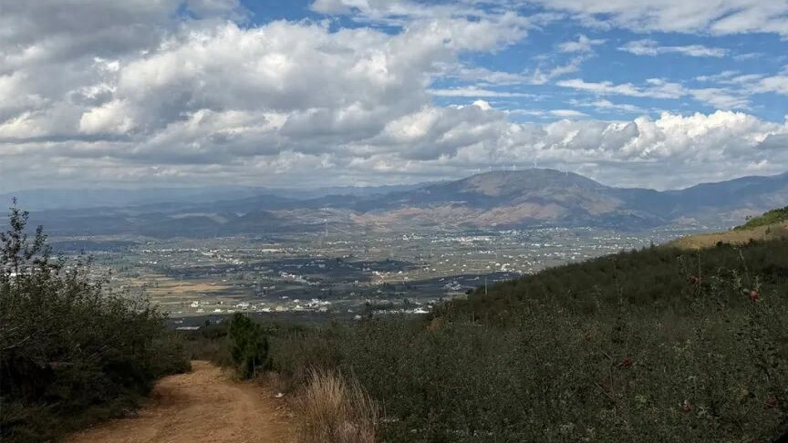 一个走投无路的年轻人，靠一颗丑苹果翻身
