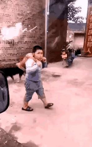 这个小胖子男孩倒背一只狗狗，得意洋洋走在路上。
一位开车阿姨说了一句：小朋友要爱