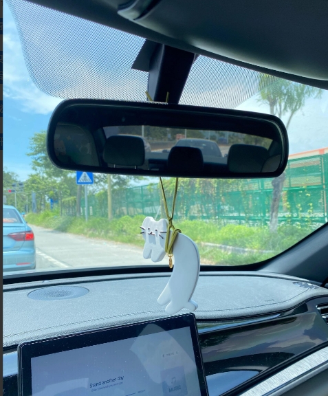 车内后视镜只能看后方？这些隐藏功能太实用了！

车内后视镜可不只是用来看后方车辆